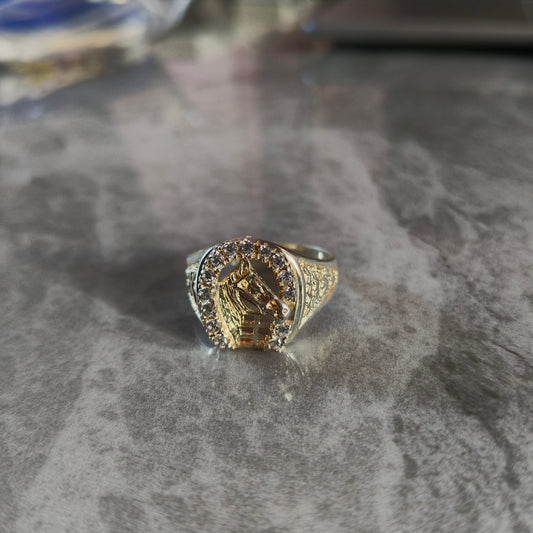 Anillo Herradura y Caballero